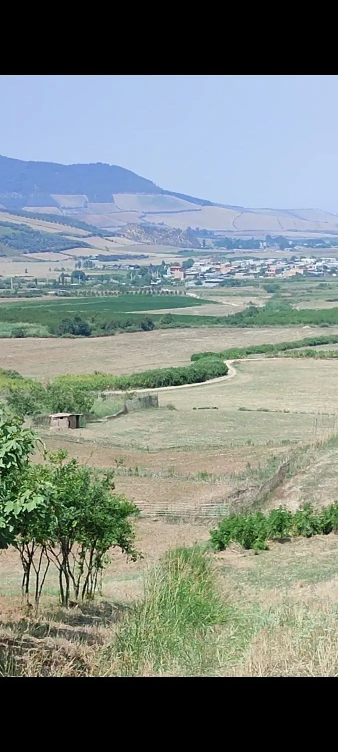 فروش زمین کشاورزی باغی