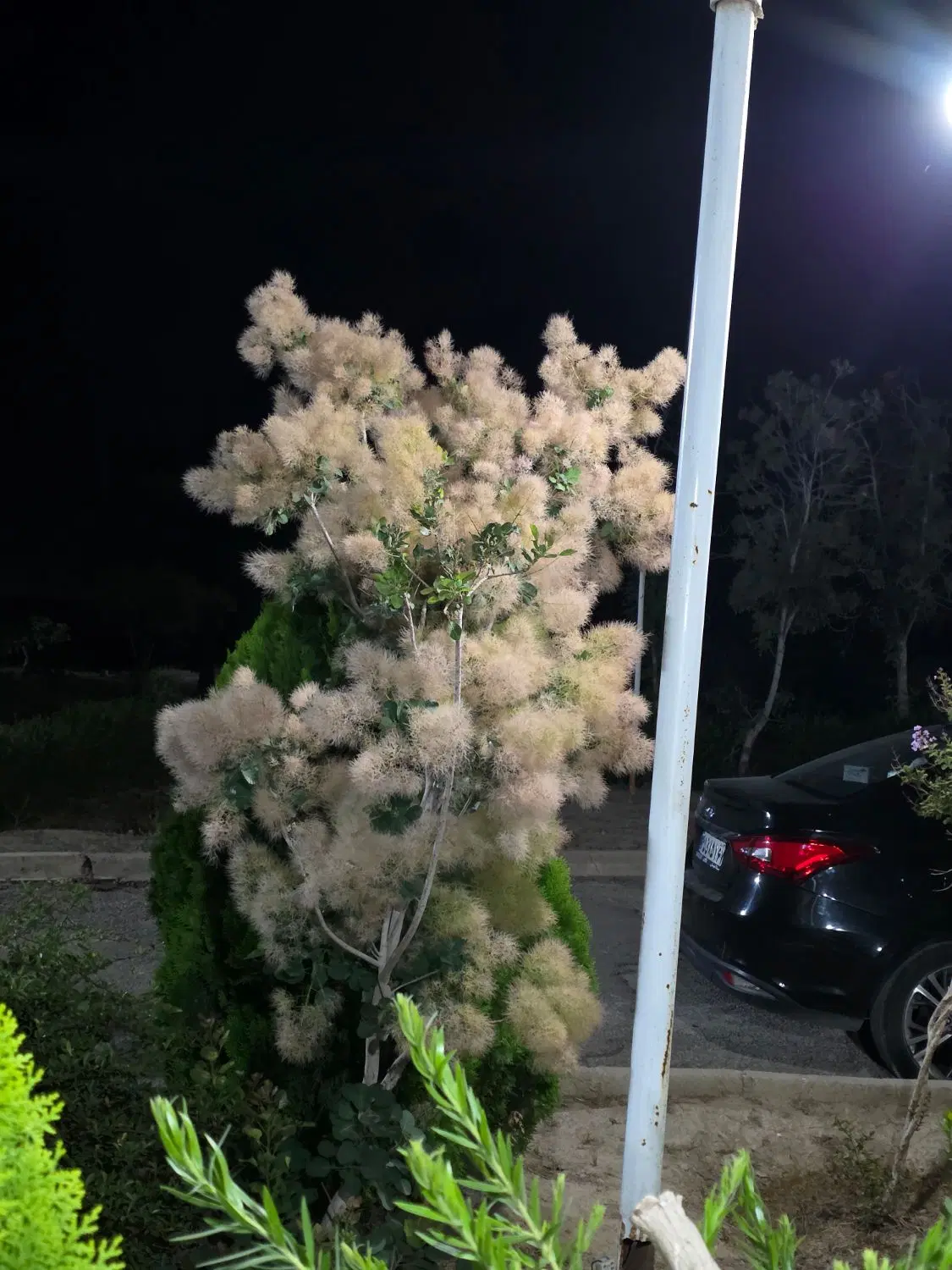 مغازه بر اشراق
