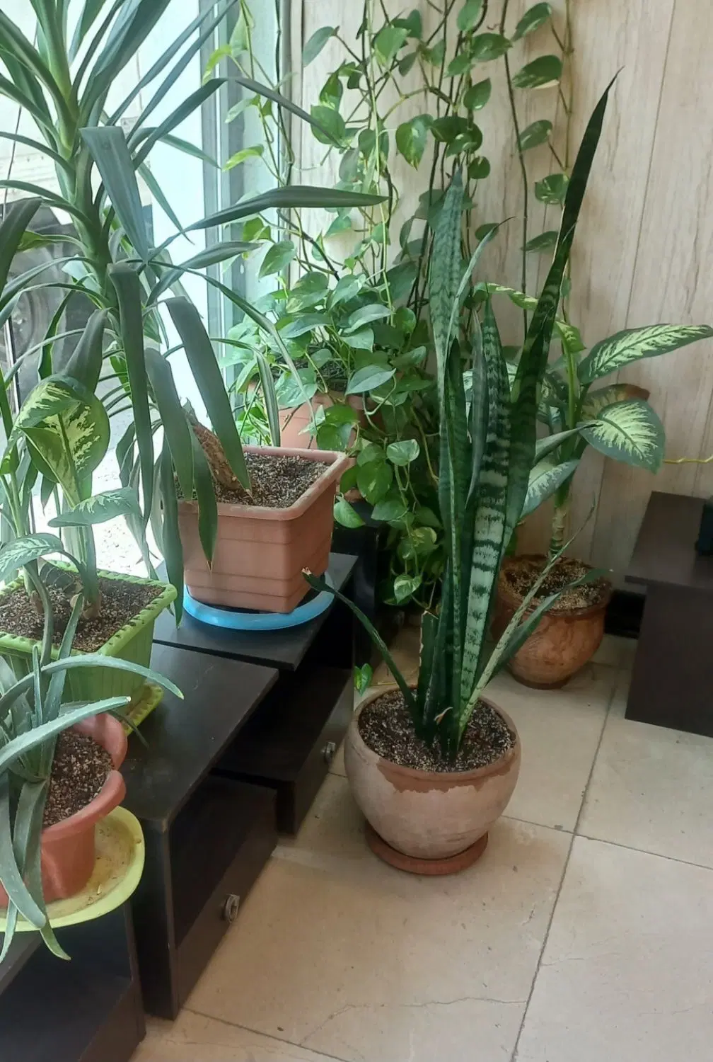 آپارتمان ۸۰ متر ۲ خواب شهرک جهان نما فروشی