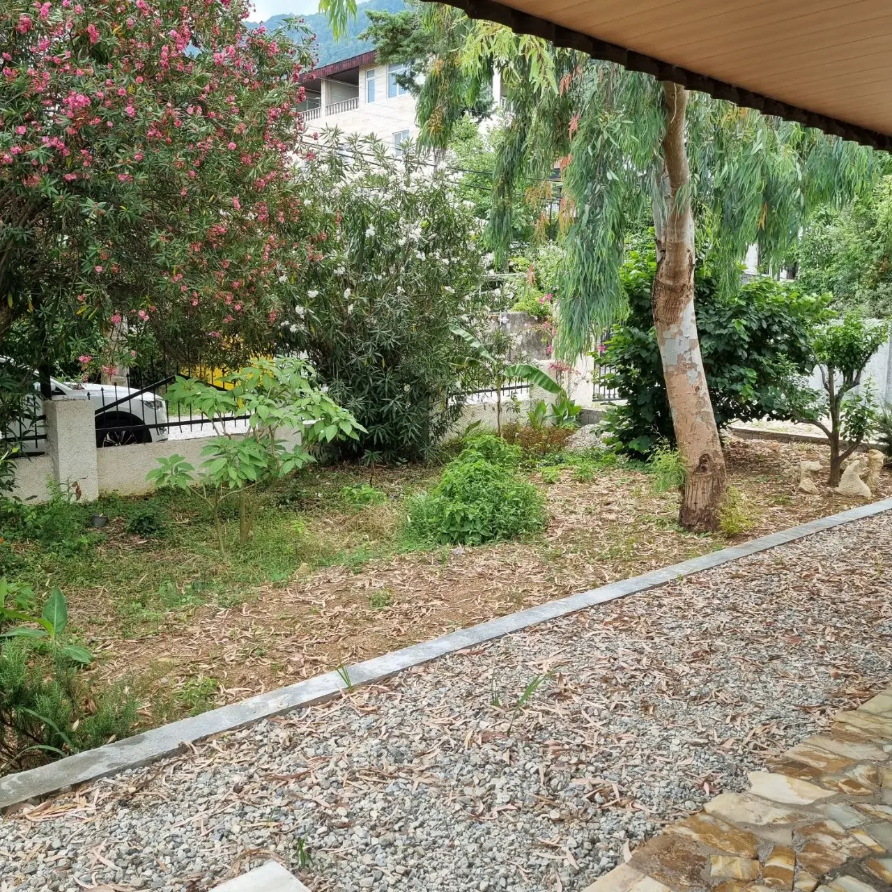 ملک ۷۰۰ متری حومه نمک آبرود کوهپایه