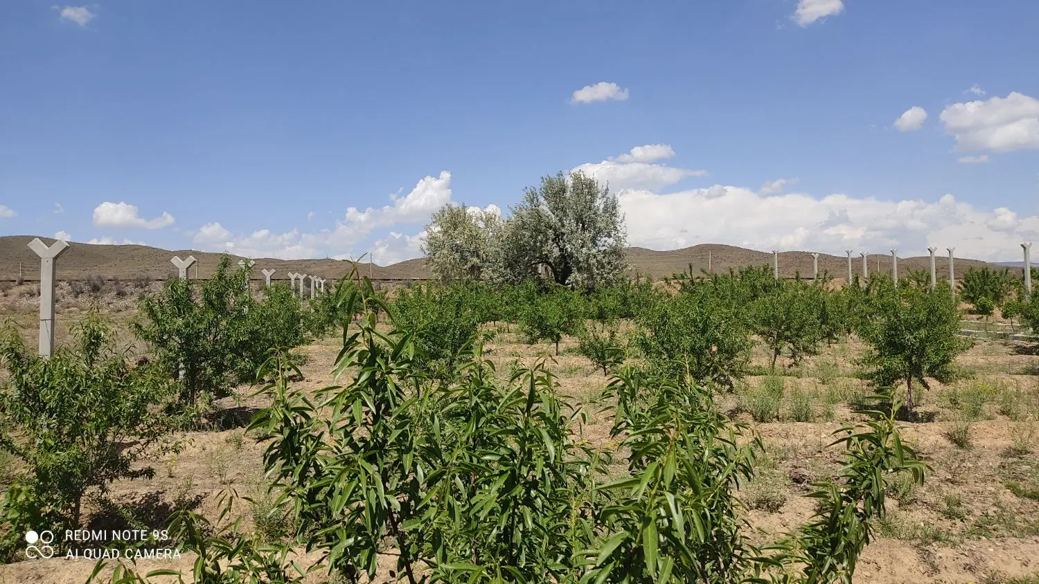 قطعه زمین ویلایی مسکونی زرنق