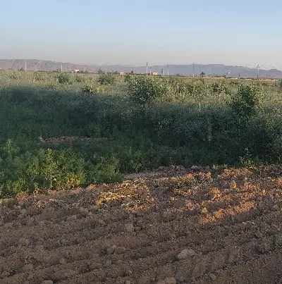 فروش زمین کشاورزی بر جاده