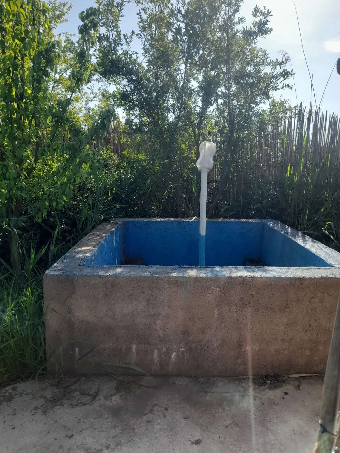 زمین باغی باصفا