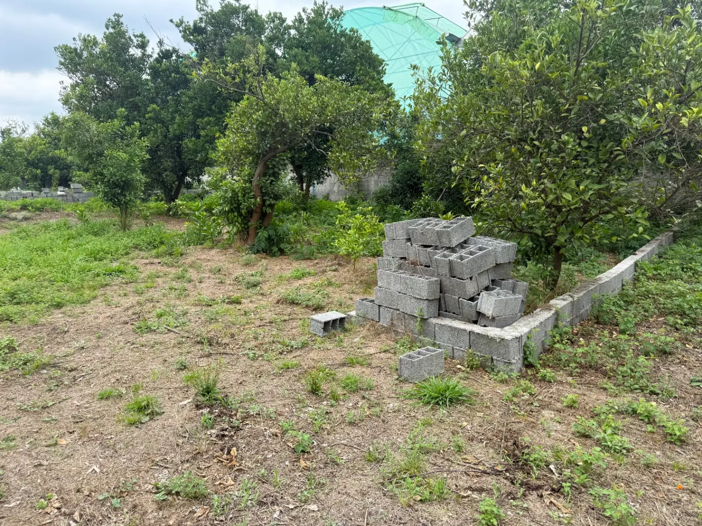 زمین مسکونی