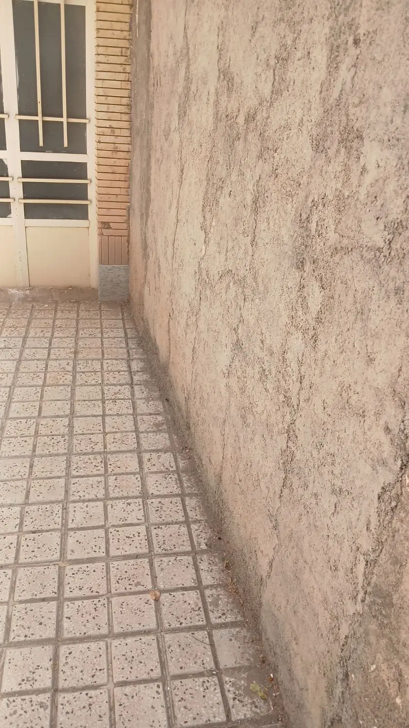 راهن