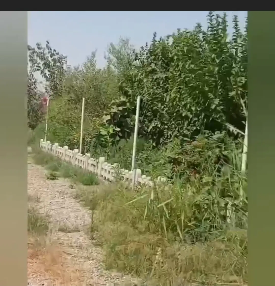 ویلا تفریحی