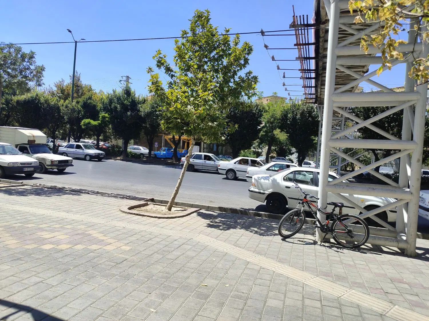 اجاره مغازه