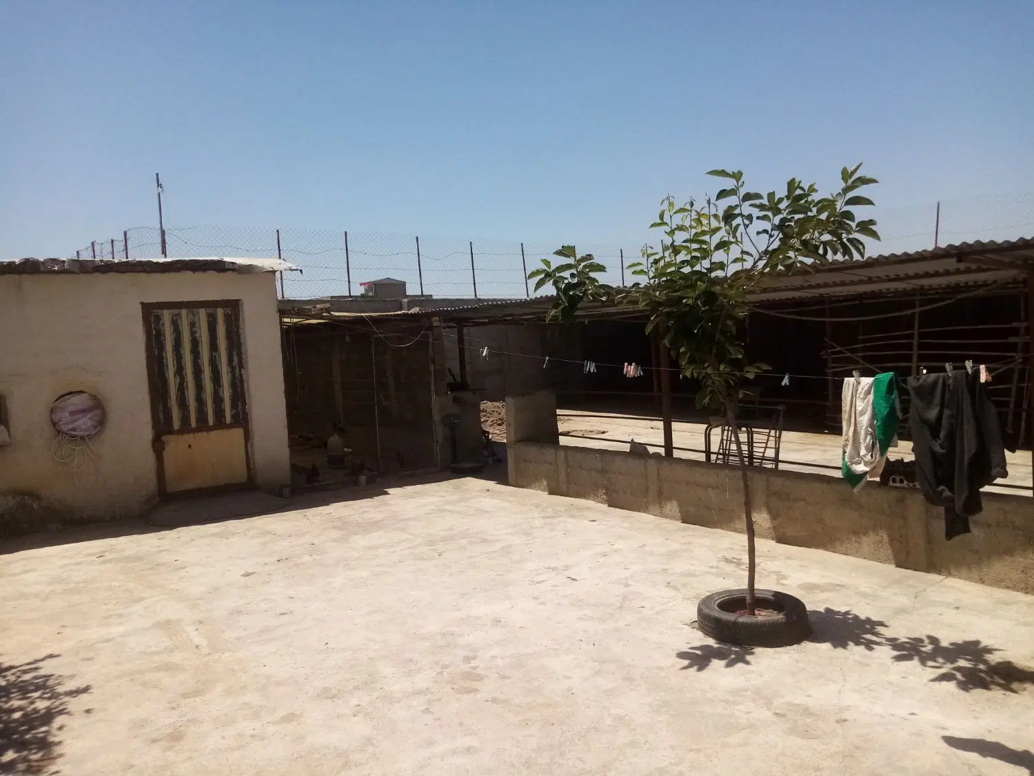 دامداری صنعتی کلید اول