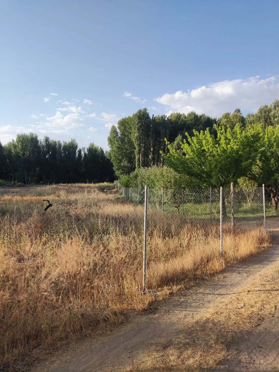 با سلام فروش زمین سند دار در روستای چیر