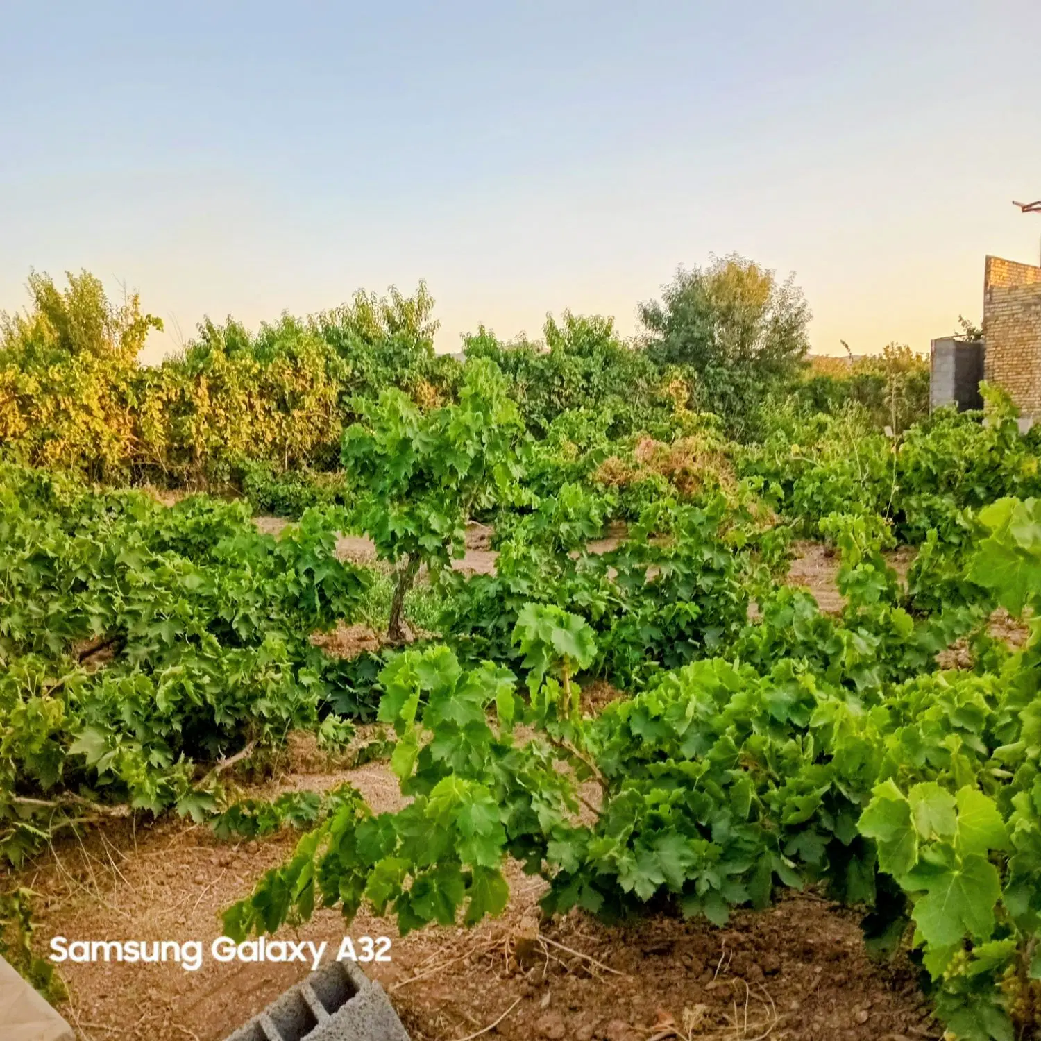 فروش معاوضه باغ‌ویلای ۷۵۰ متری با خودرو و مسکن ملی