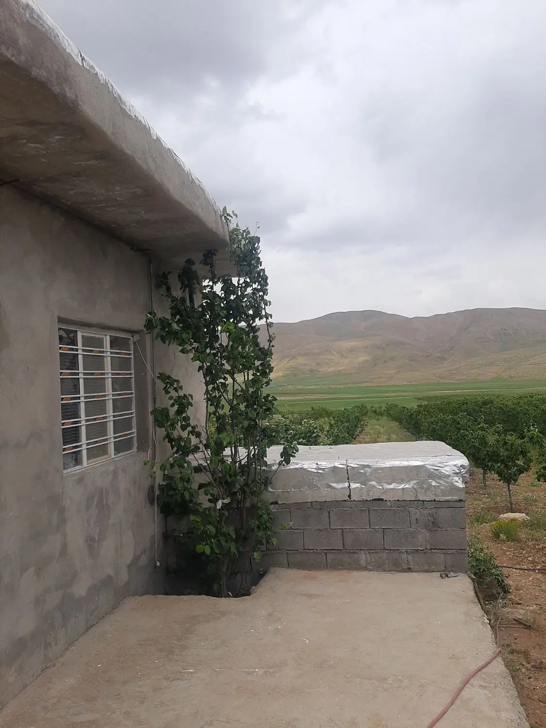 فروش باغ با همه امکانات