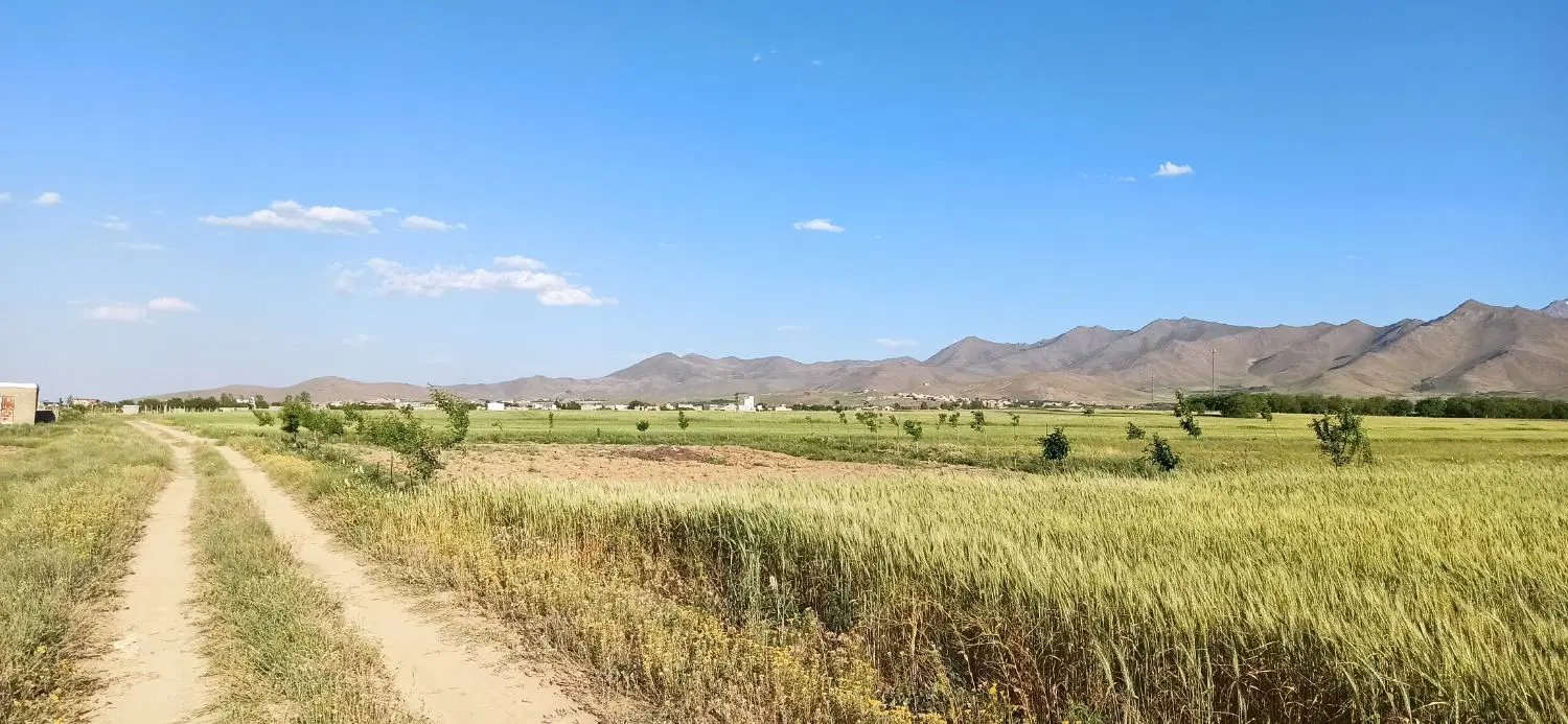 زمین باغی