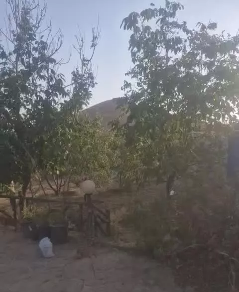 خونه باغ باغچه باغ آشتیان