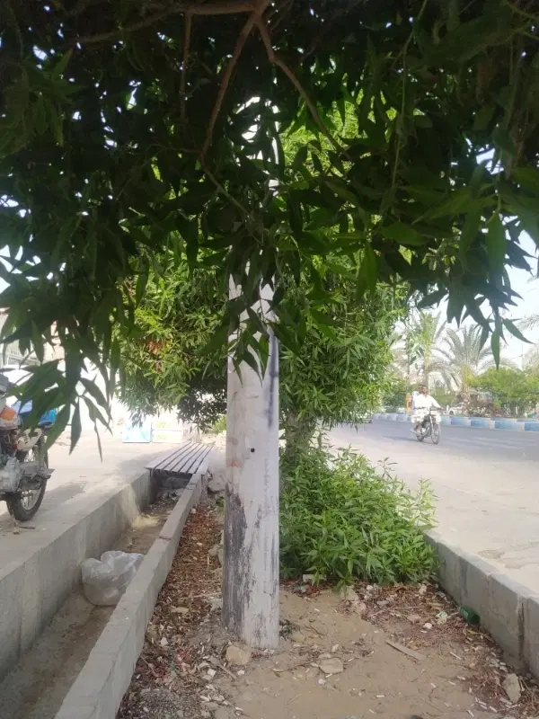 فروش زمین ومعاوضه