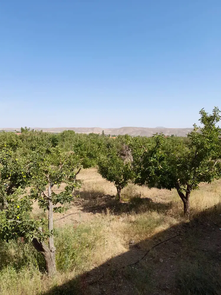 زمین از ۲۵۰ متر تا۱۰۰۰ متر در بهترین نقطه دماوند