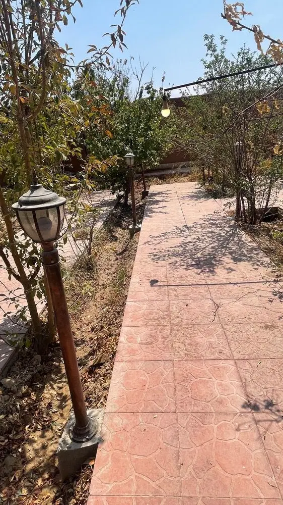 زمین باغ 500 متری گل مینا