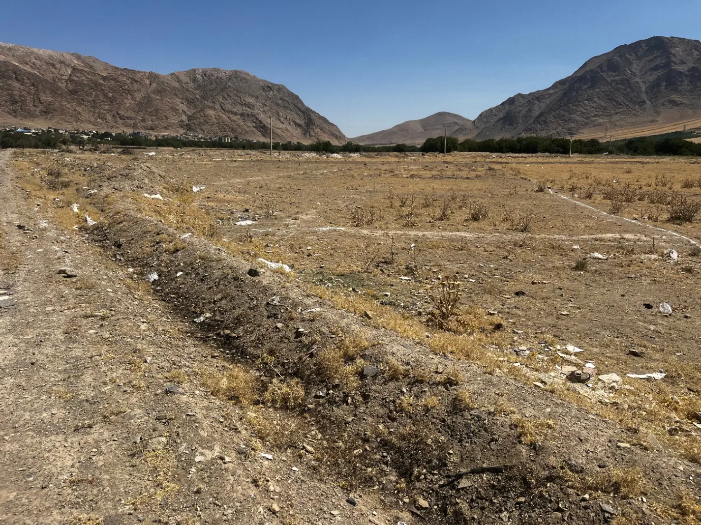 فروش زمین بر بلوار کریم خان