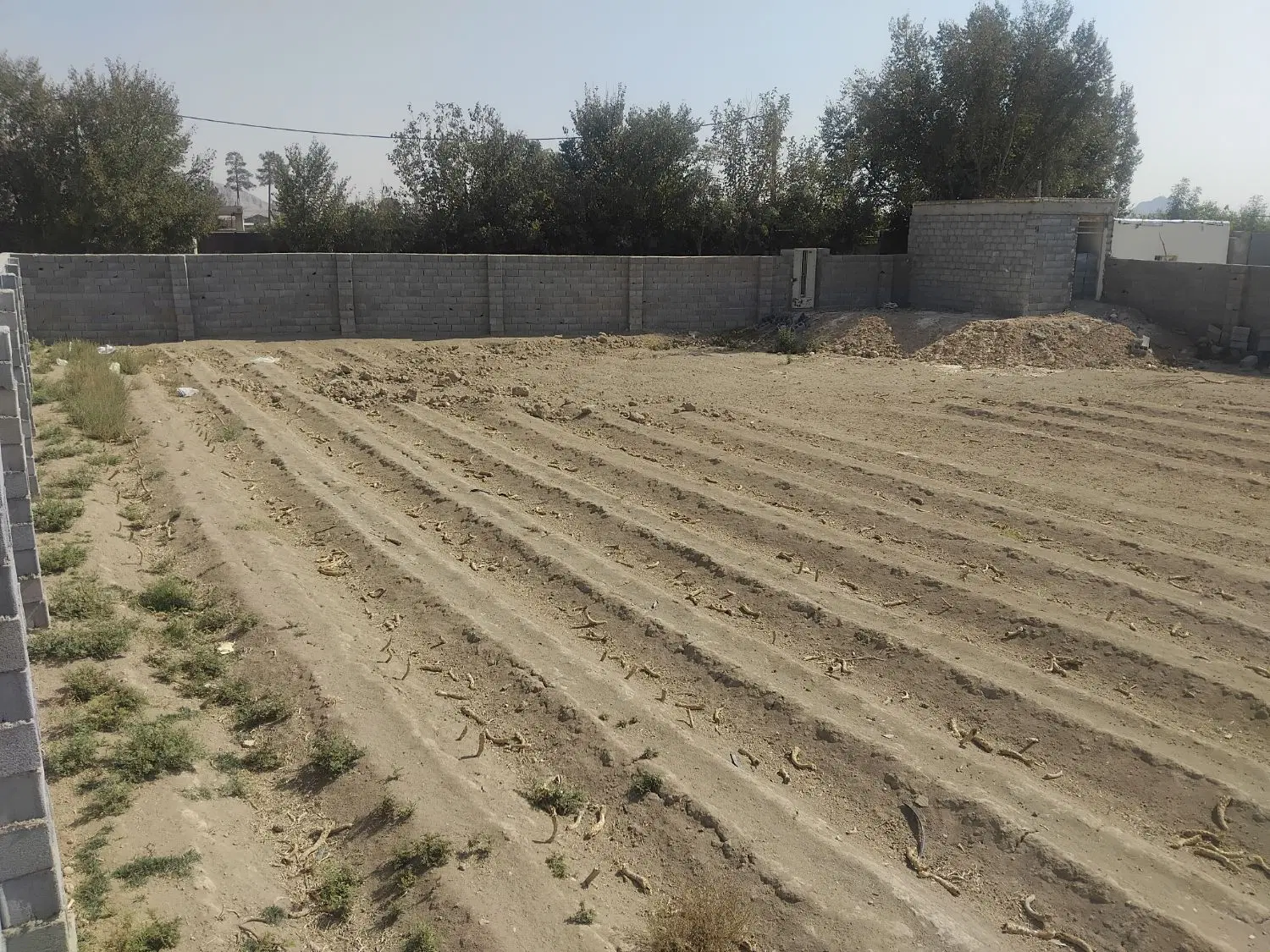 چهار دیواری مجموعه باغی اشکاوند