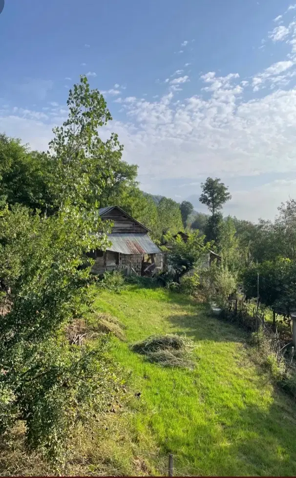 هم خونه میپذیرم