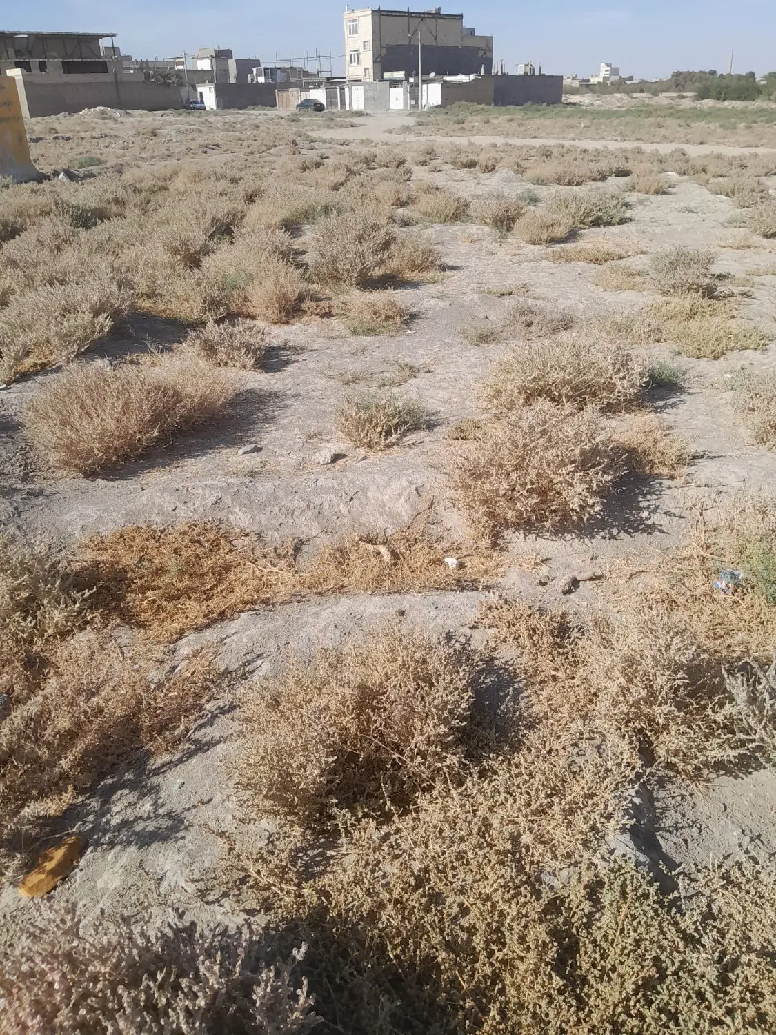 زمین خواجه ربیع انتهای مهر مادر