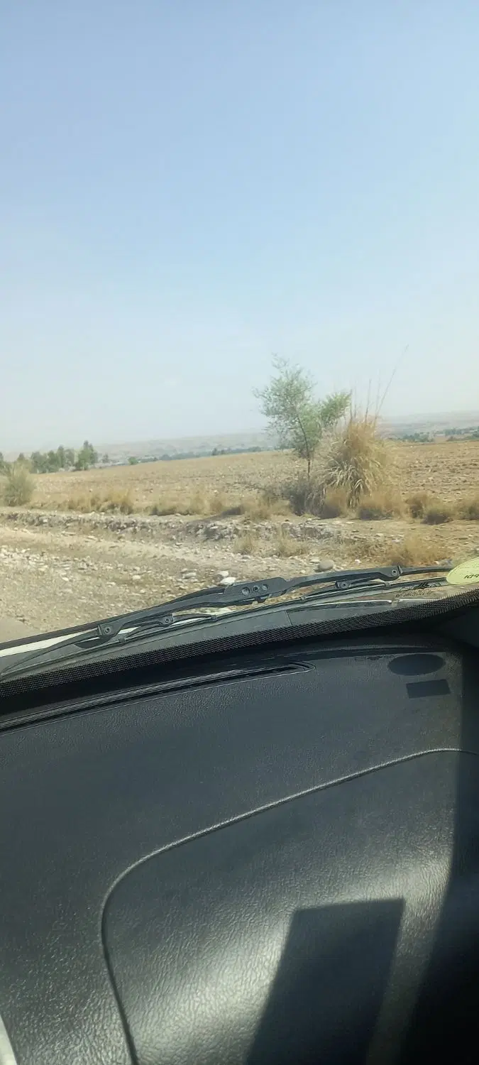 اجاره ده هکتار جهت پیاز چمگلک