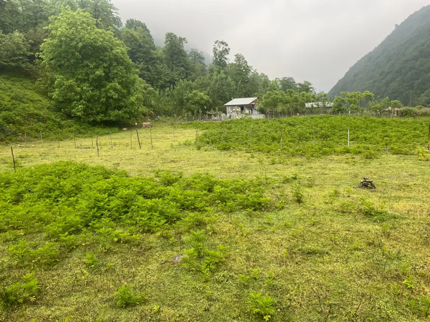 زمین مسکونی در بندپی شرقی