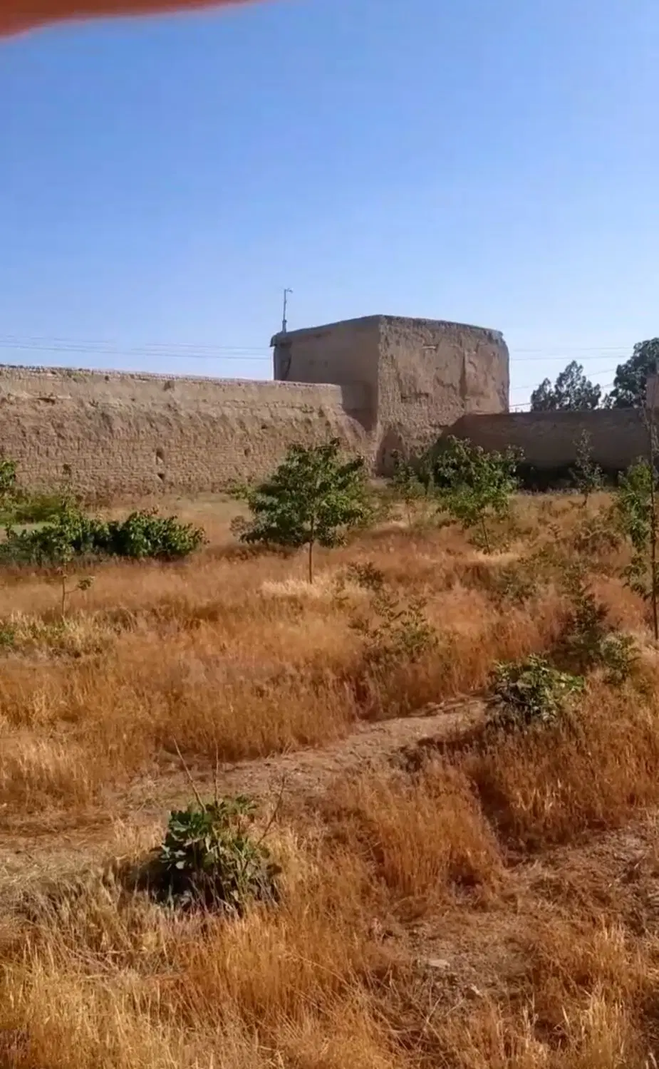 فروش ملک باغی