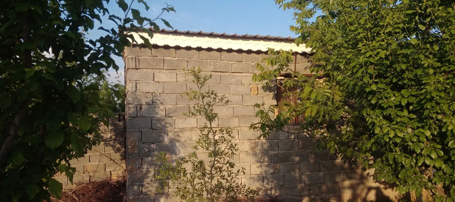 باغ میوه