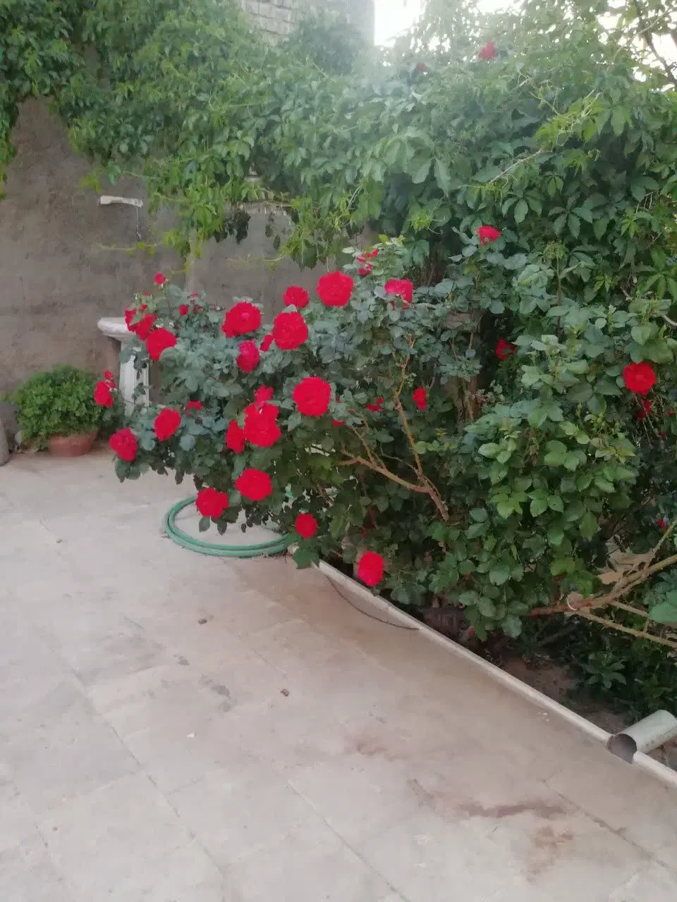طبقه اول دوخواب ویلایی قمصر