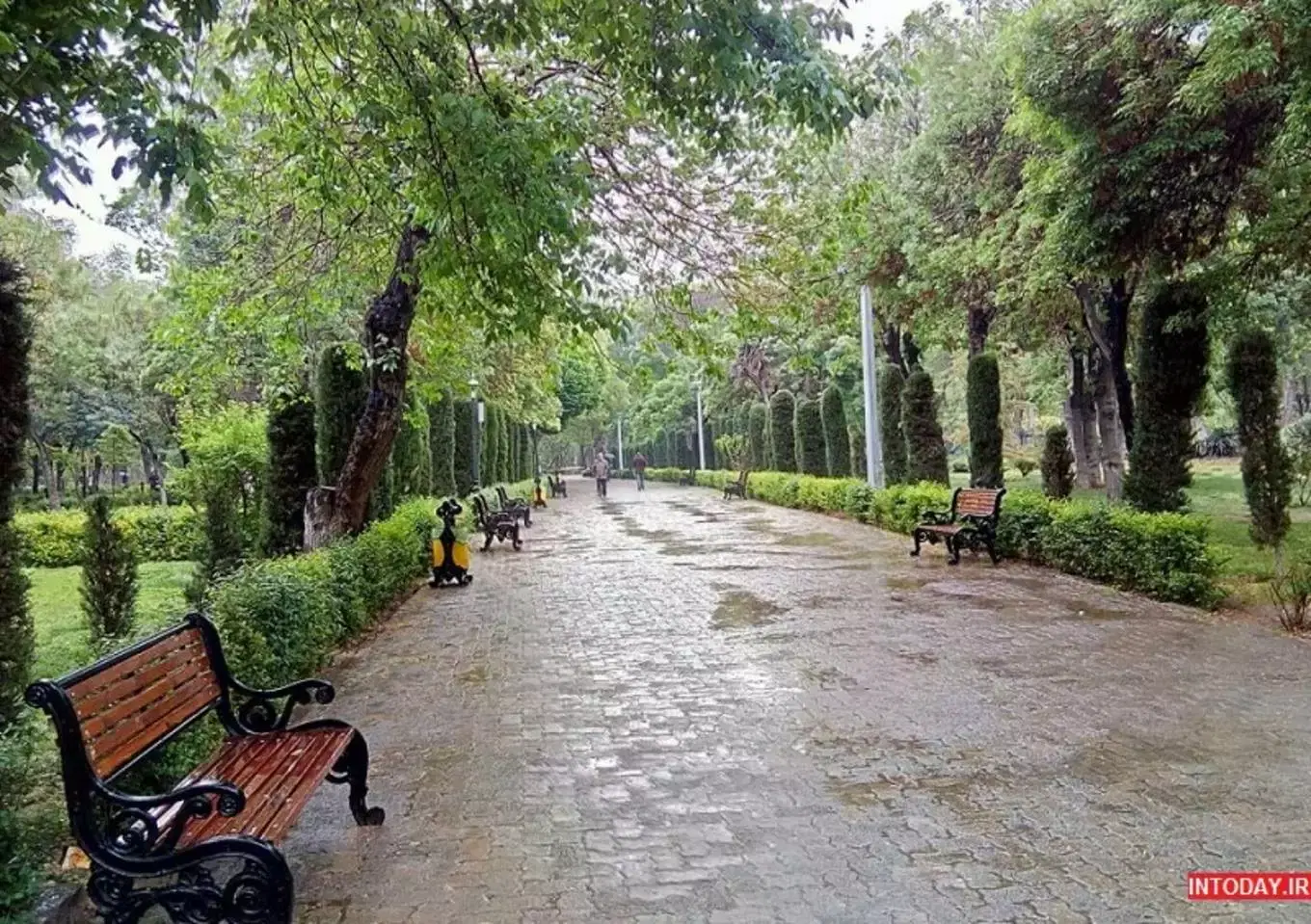 ۸۵ طبقه بالا گلدشت شرقی نزدیک دادگاه سه راه گلدشت