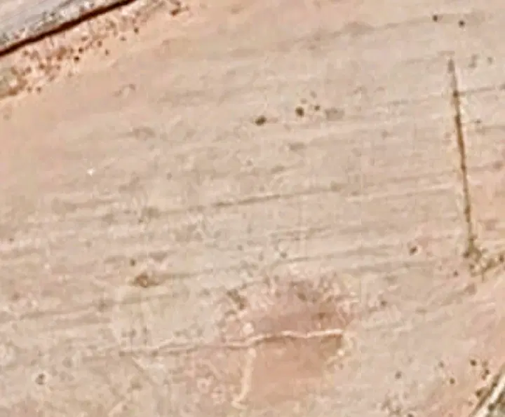 زمین ۲۵۳ متر