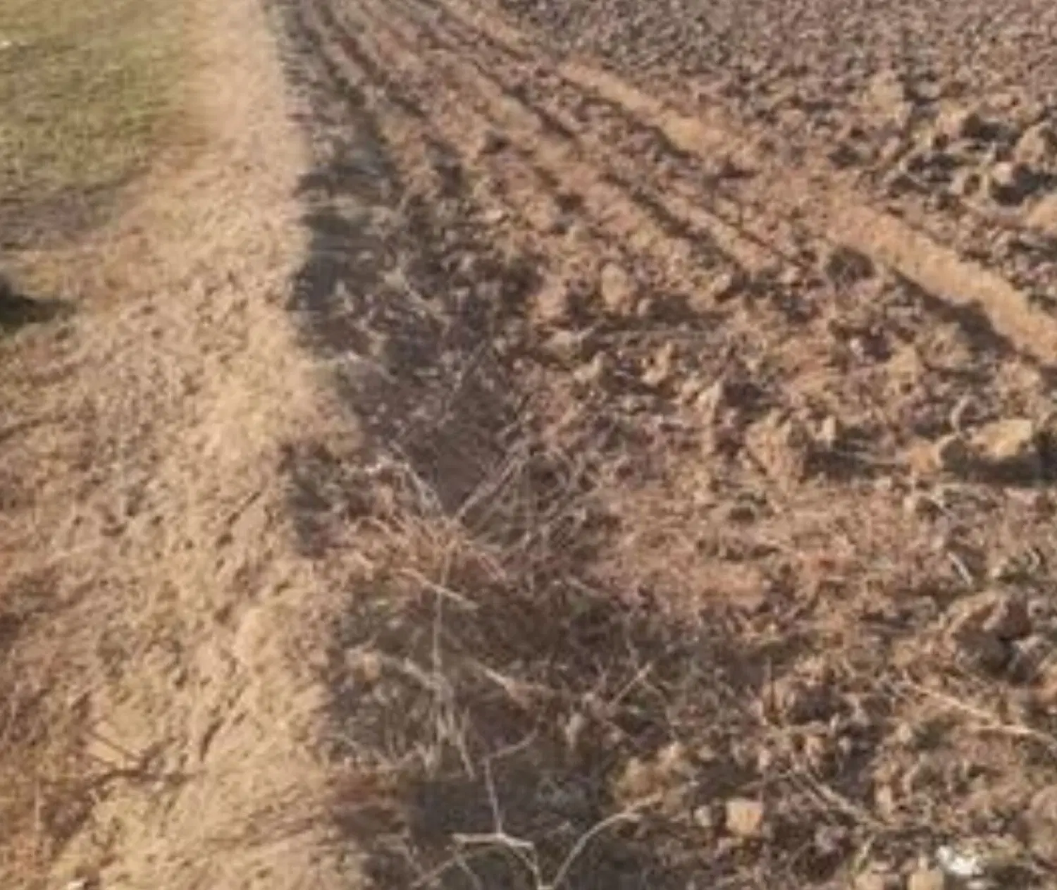 زمین کشاورزی نزدیک به بافت روستای شوران 3800 متر