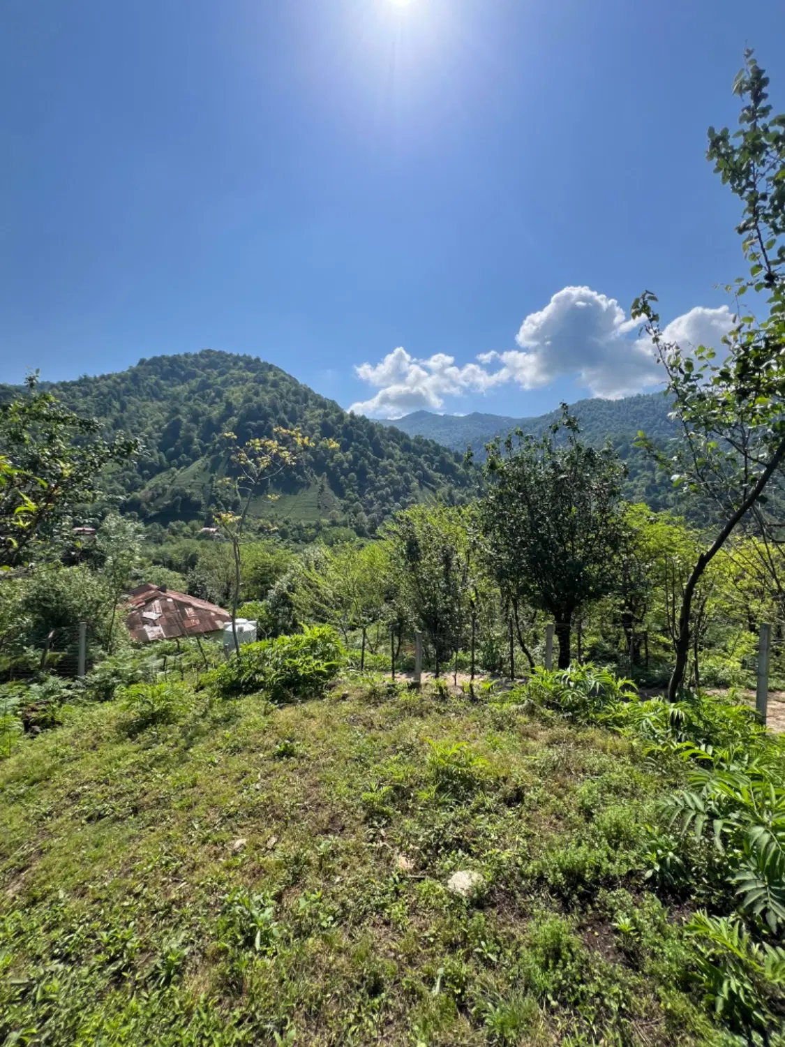 فروش خانه ویلایی روستایی ۱۰۰۰ متری