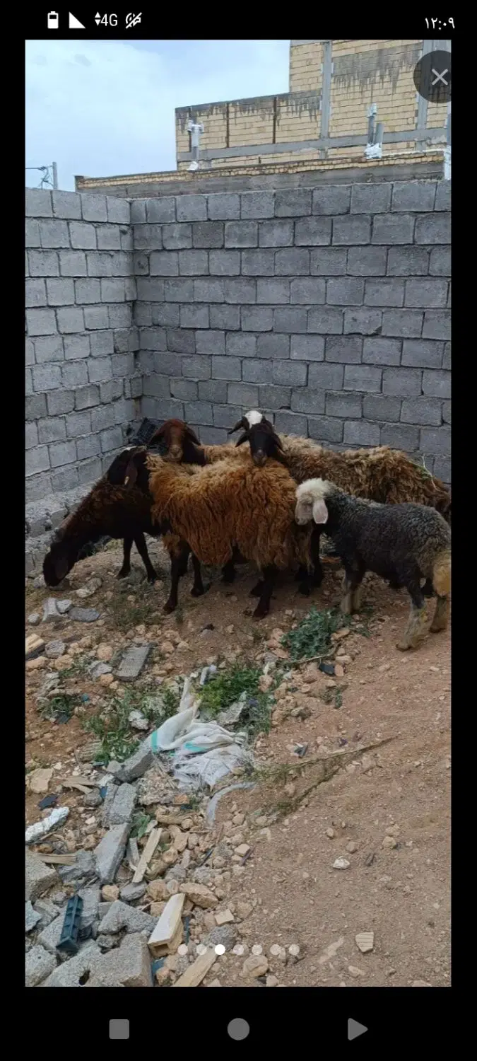 کارگاه اجاره