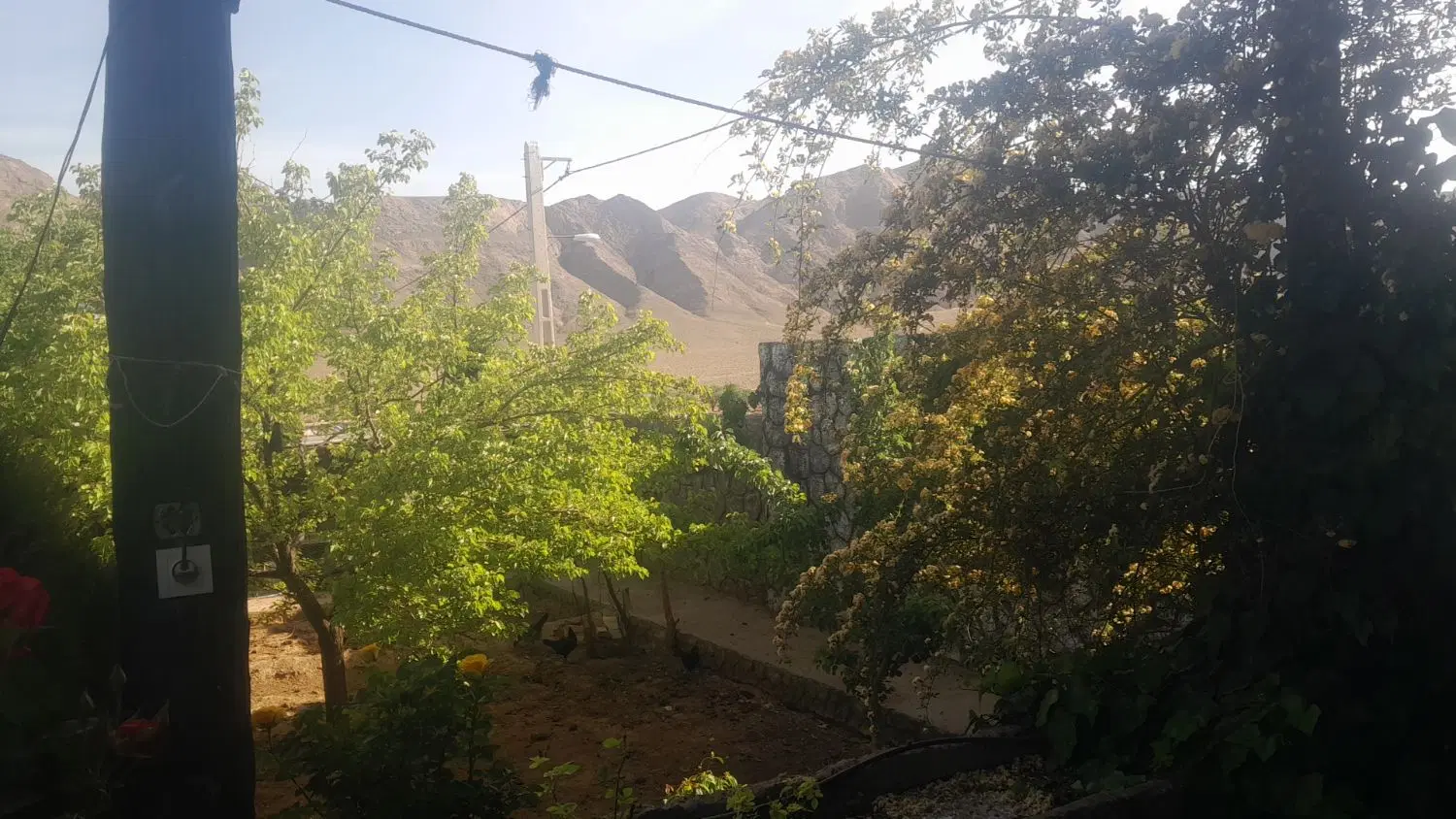 ۵۵۰متر خانه باغ فروشی تنگ چنارسه میلیاردودویست