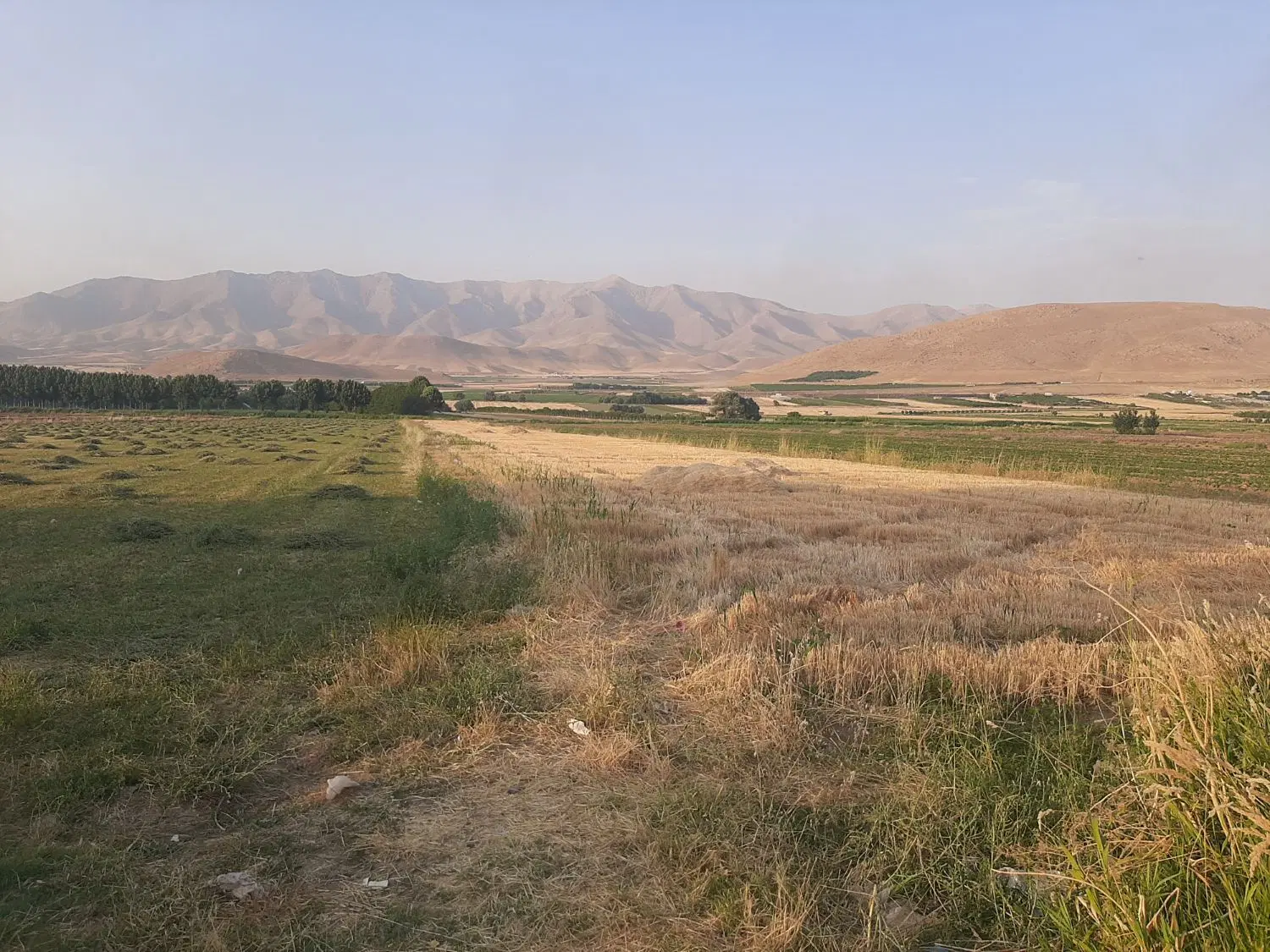 زمین کشاورزی