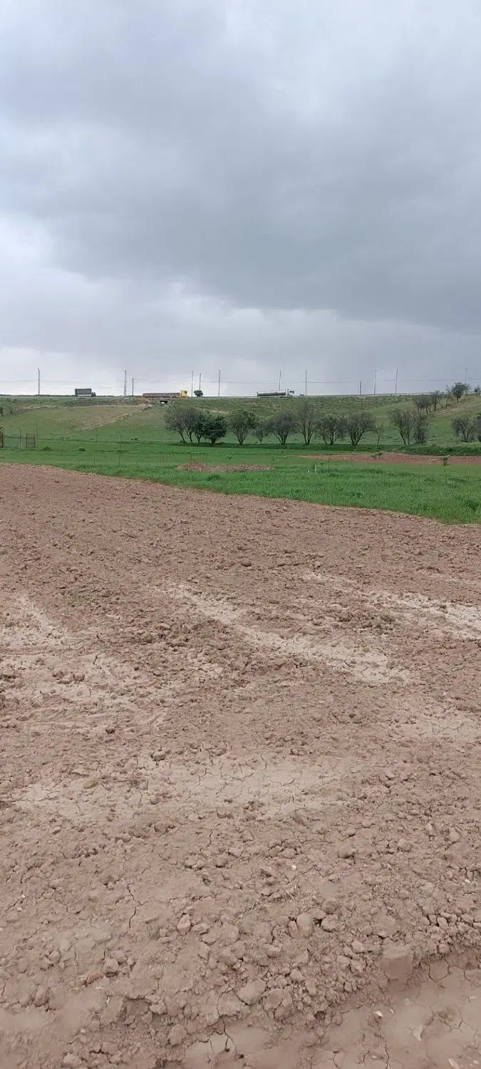 زمین