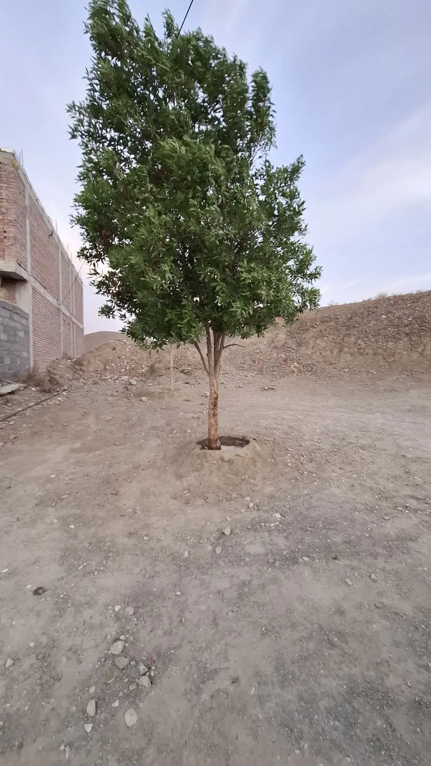 زمین مسکونی ۳۰۰مترشهرک ازادگان رسالت شمالی ۲