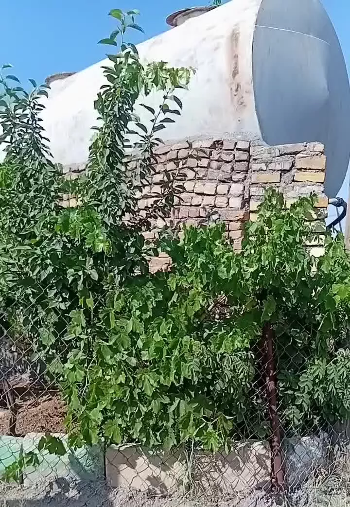 باغ ‌زیبا در قلعه فرهادخان