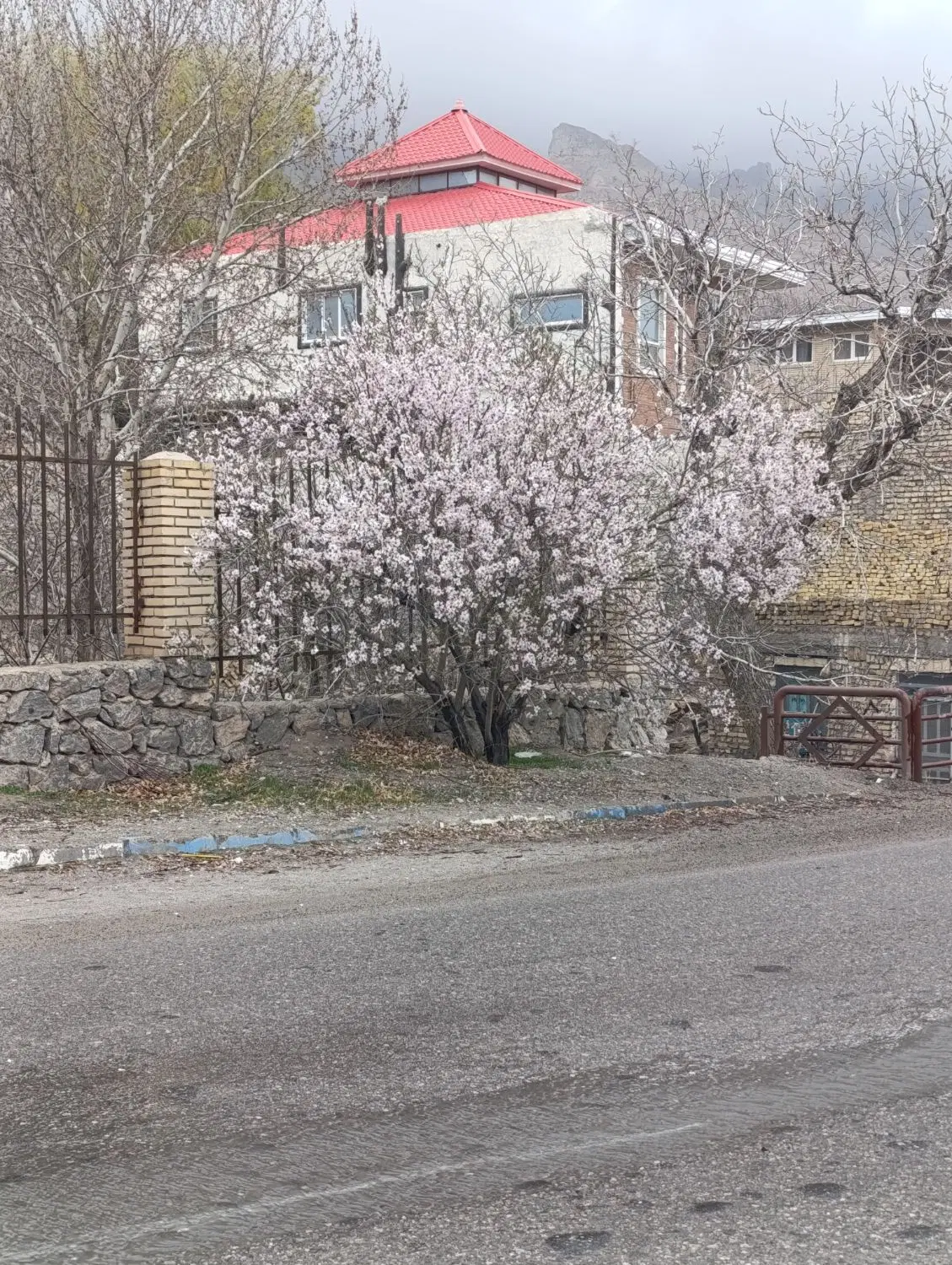 زمین کوچه توت فرنگی