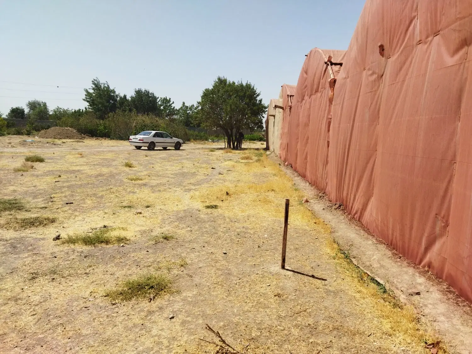 زمین ۱۳۳۳ متر  برای گلخانه  سوله سازی