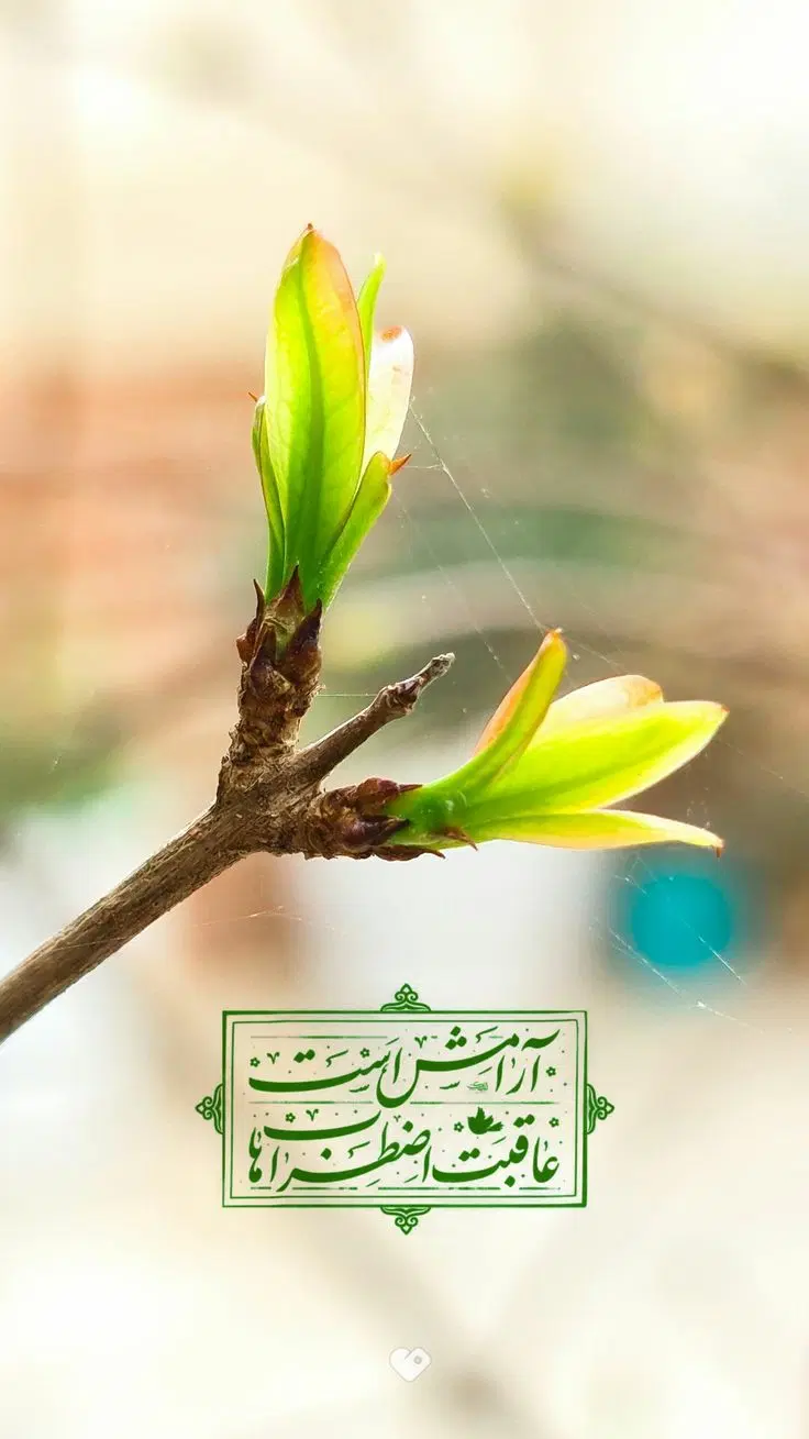 فروش باغ تفریحی