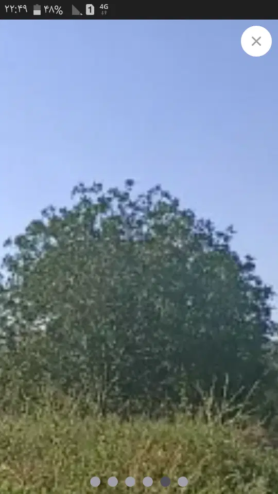 زمین باغ روستای ورکانه