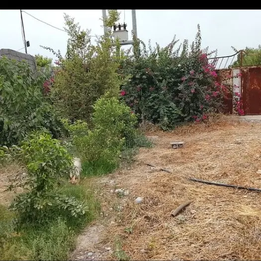زمین باغ ویلا ۸۱۲ متر