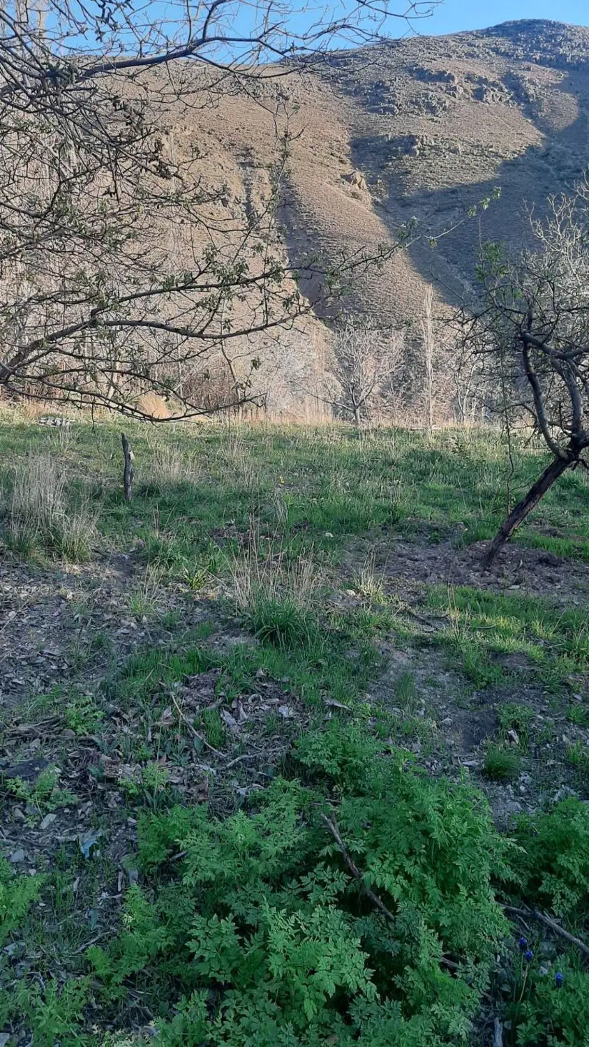 زمین لواسان بزرگ