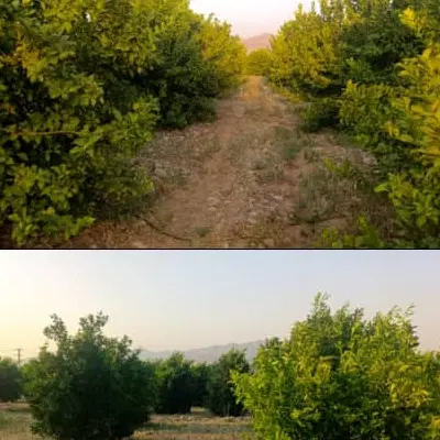 زمین مسکونی جابه درب حیاط