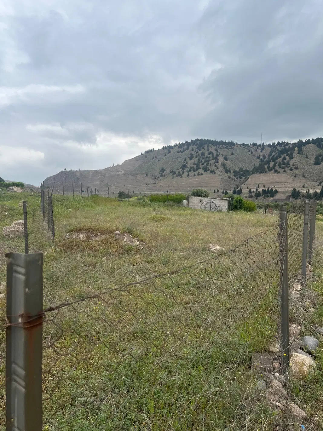 زمین باغی