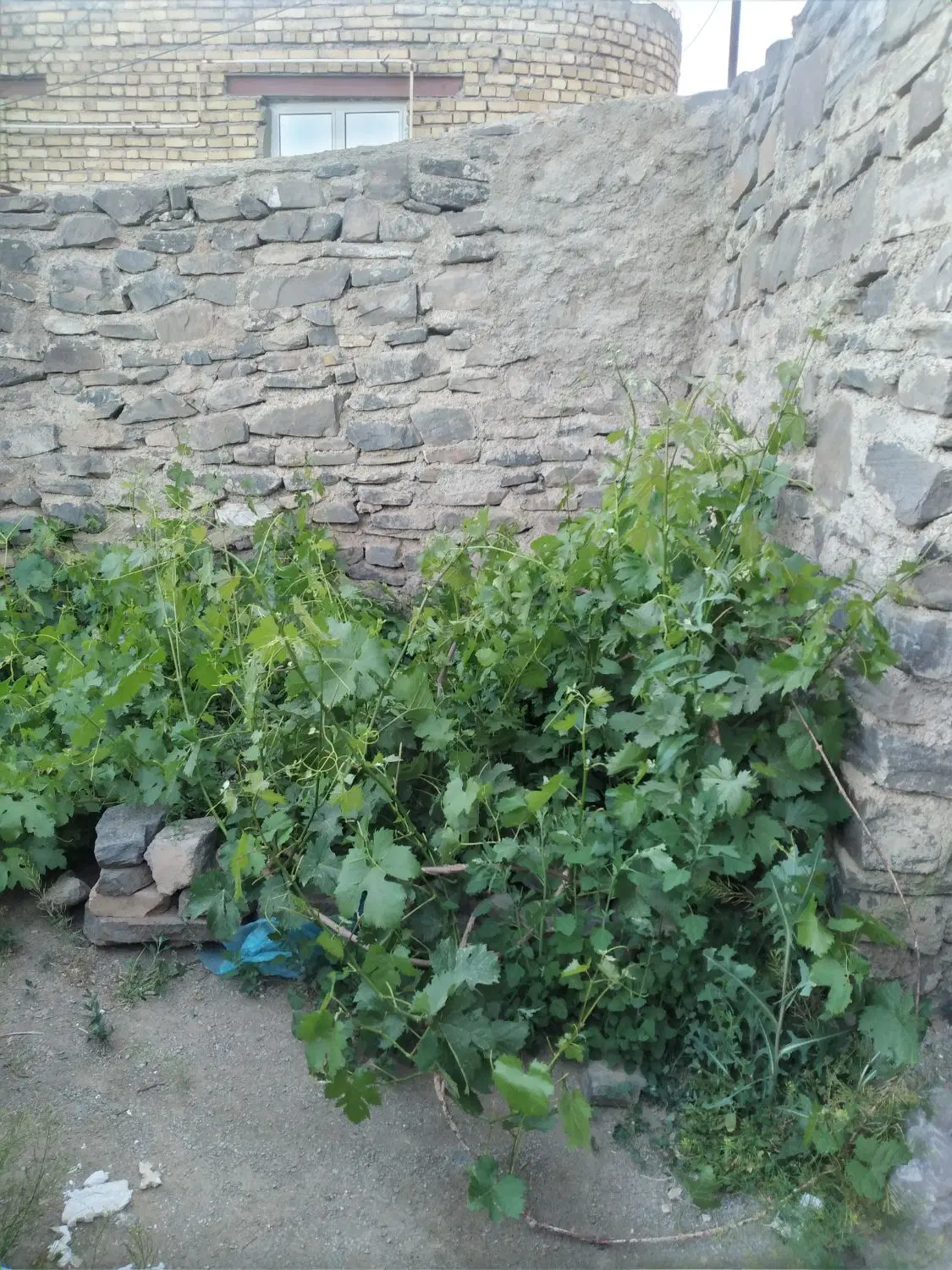 خانه حیاط دار