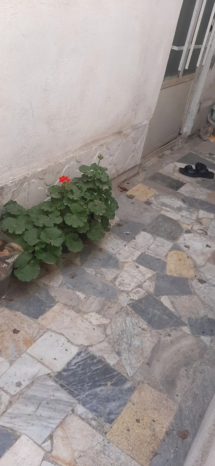 خانه ۳۷ متری سوعیت