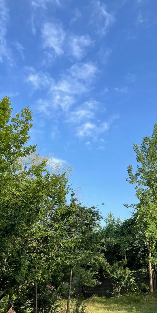 *زمین ۷۰۰ متری دارای کاربری مسکونی گیلان*